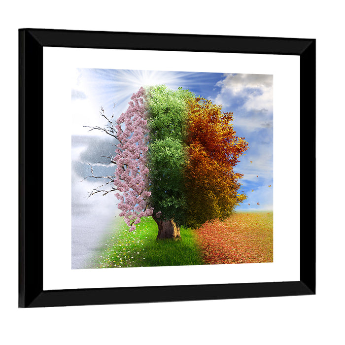 Tree Through Four Seasons Wall Art as a framed print