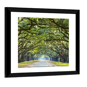 Historic Wormsloe Plantation In Savannah Wall Art