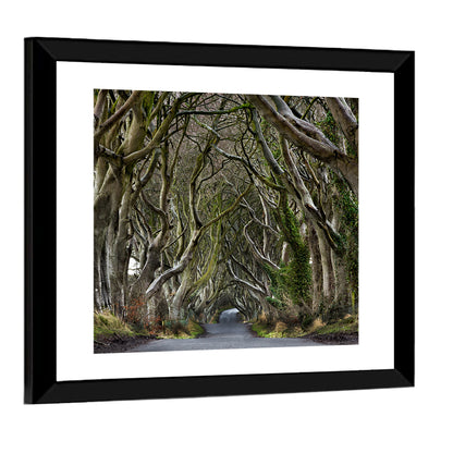 Dark Hedges Pathway Wall Art