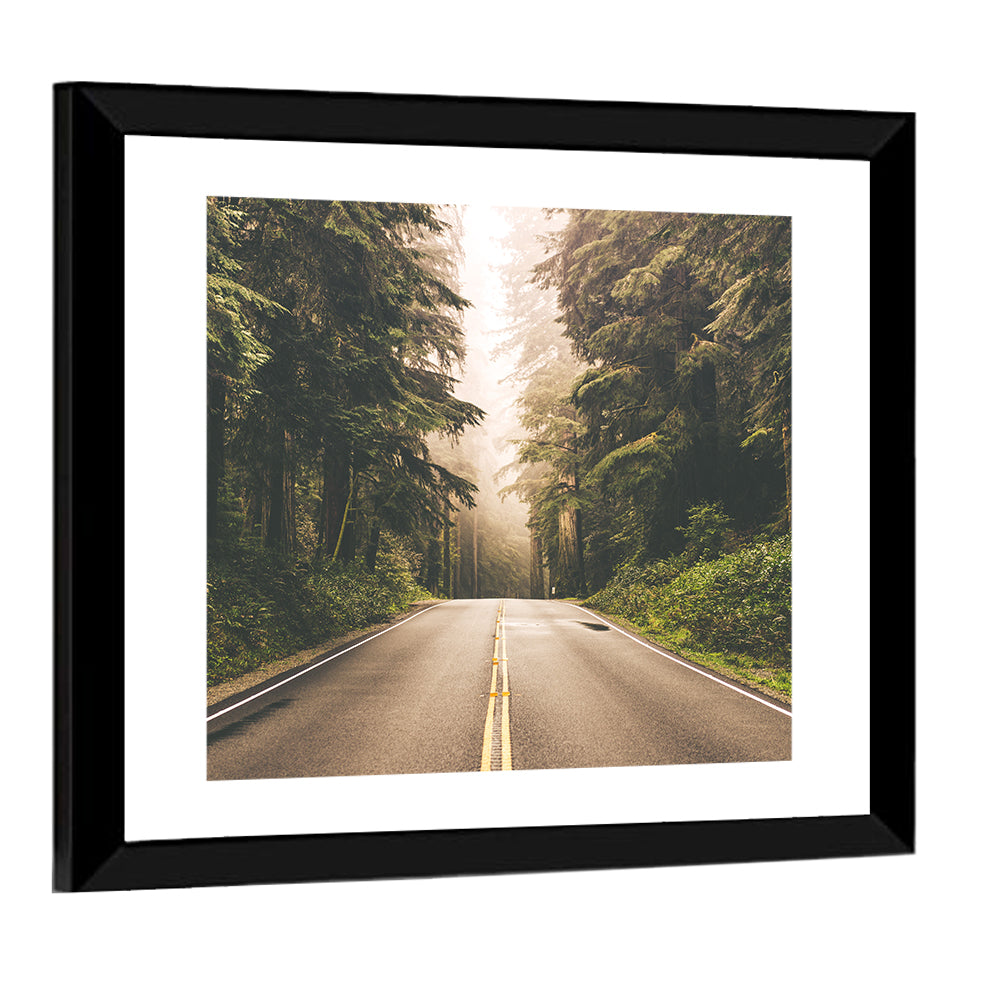 Redwood Highway In Northern California Wall Art