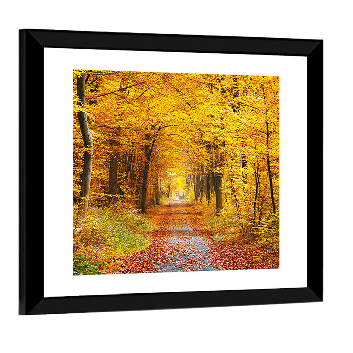 Autumn Forest Path Wall Art as a framed print