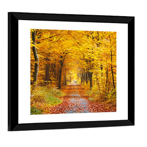 Road In Autumn Forest Wall Art