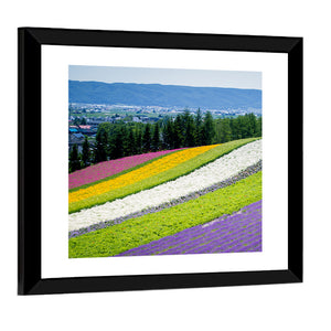 Lavender Garden In Fulano Hokkaido Wall Art