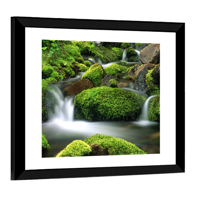 Mossy Mountain Stream Wall Art as a framed print