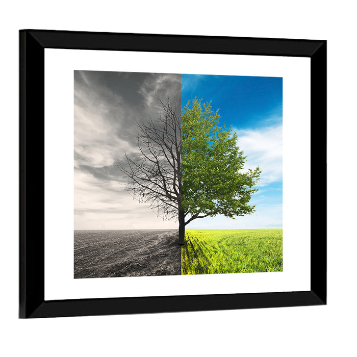 Split Tree in Field Wall Art as a framed print