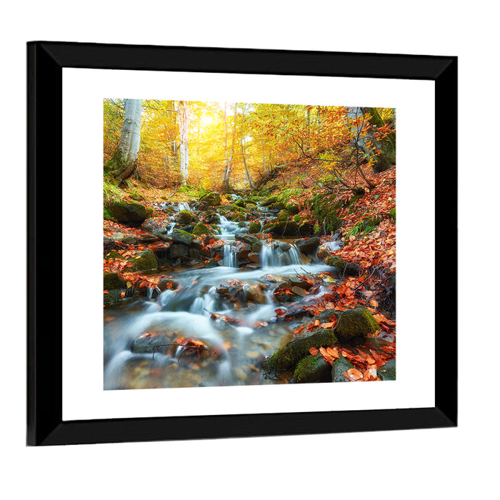 Backlit Autumn Forest Stream Wall Art as a framed print