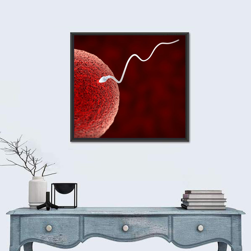 Sperm Approaching Ovum Wall Art