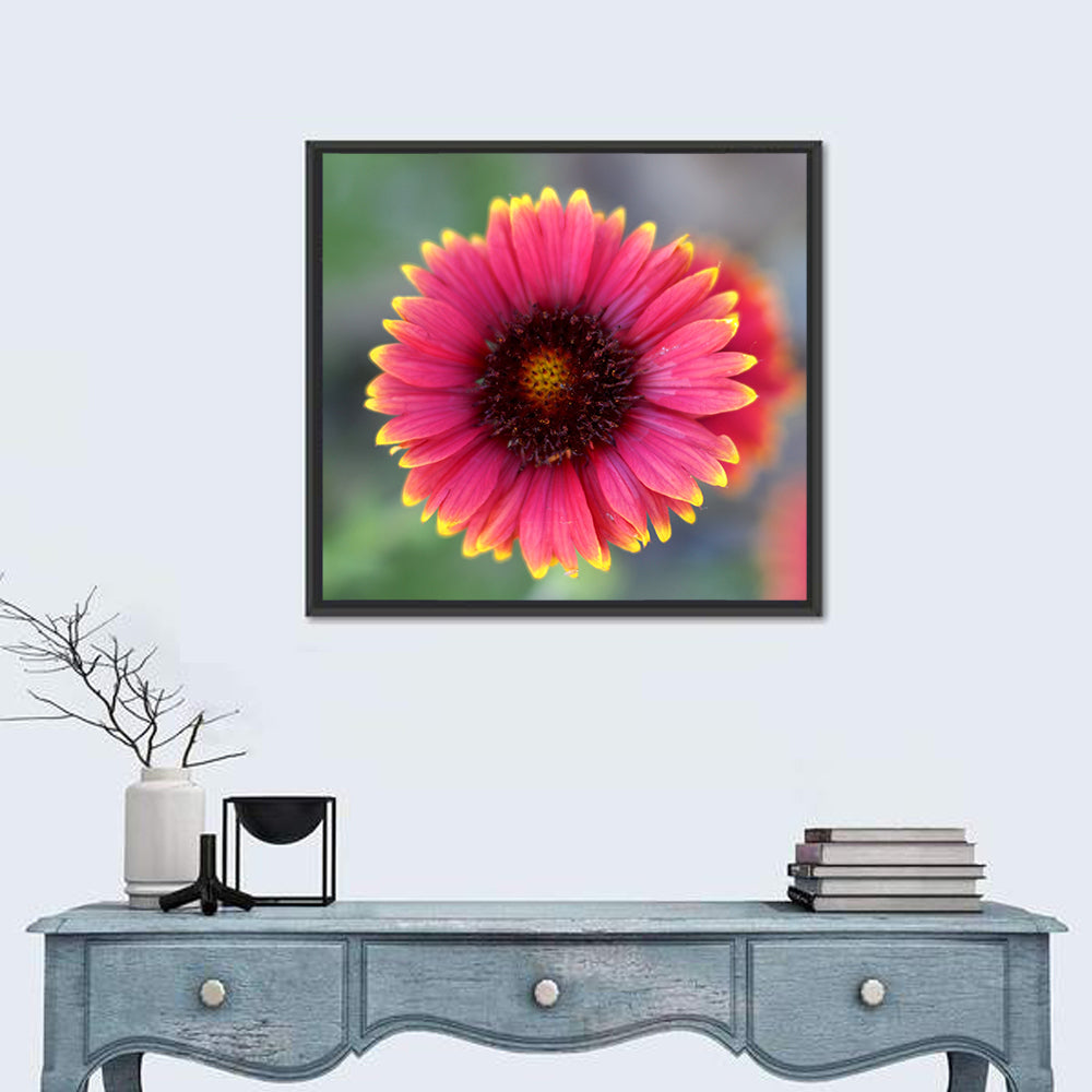 Pink Blossom Close-up Wall Art