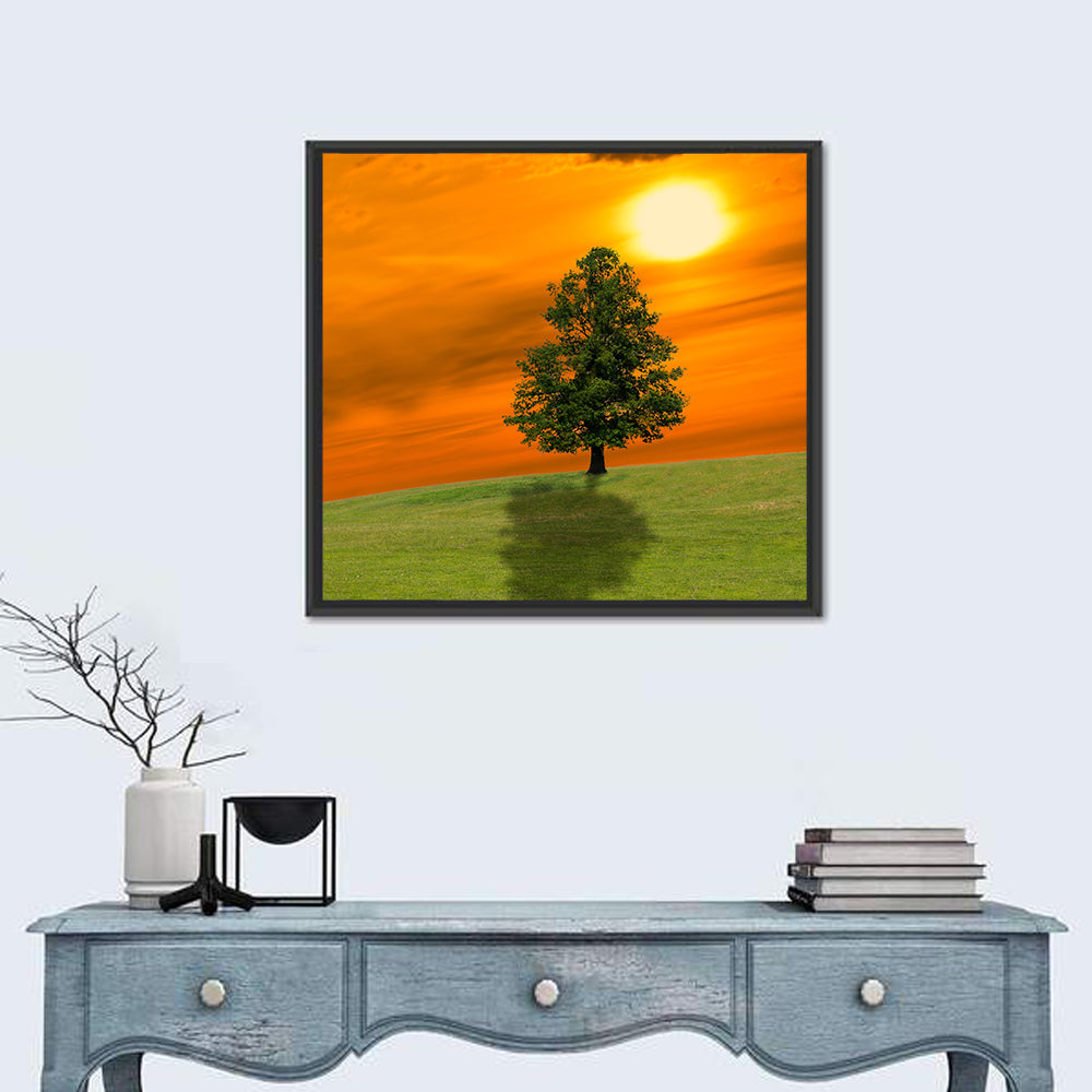 Lonely Tree on Green Hill at Sunset Wall Art in a room, square