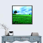 Biei Hill with Lone Tree, Hokkaido Wall Art