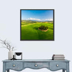 Italian Cypresses on Rolling Hills Wall Art