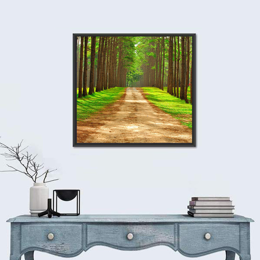 Thailand Pine Forest Path Wall Art in a room, square