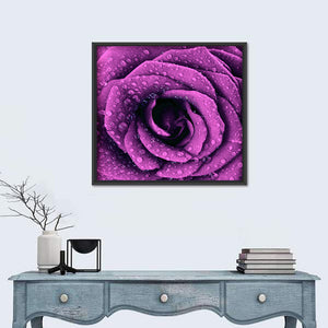 Purple Dark Rose Wall Art