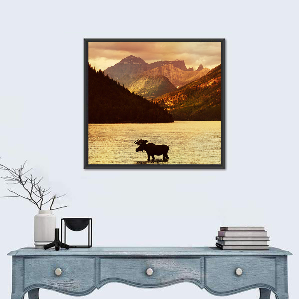 Waterton Lakes Moose at Golden Dusk Wall Art in a room, square