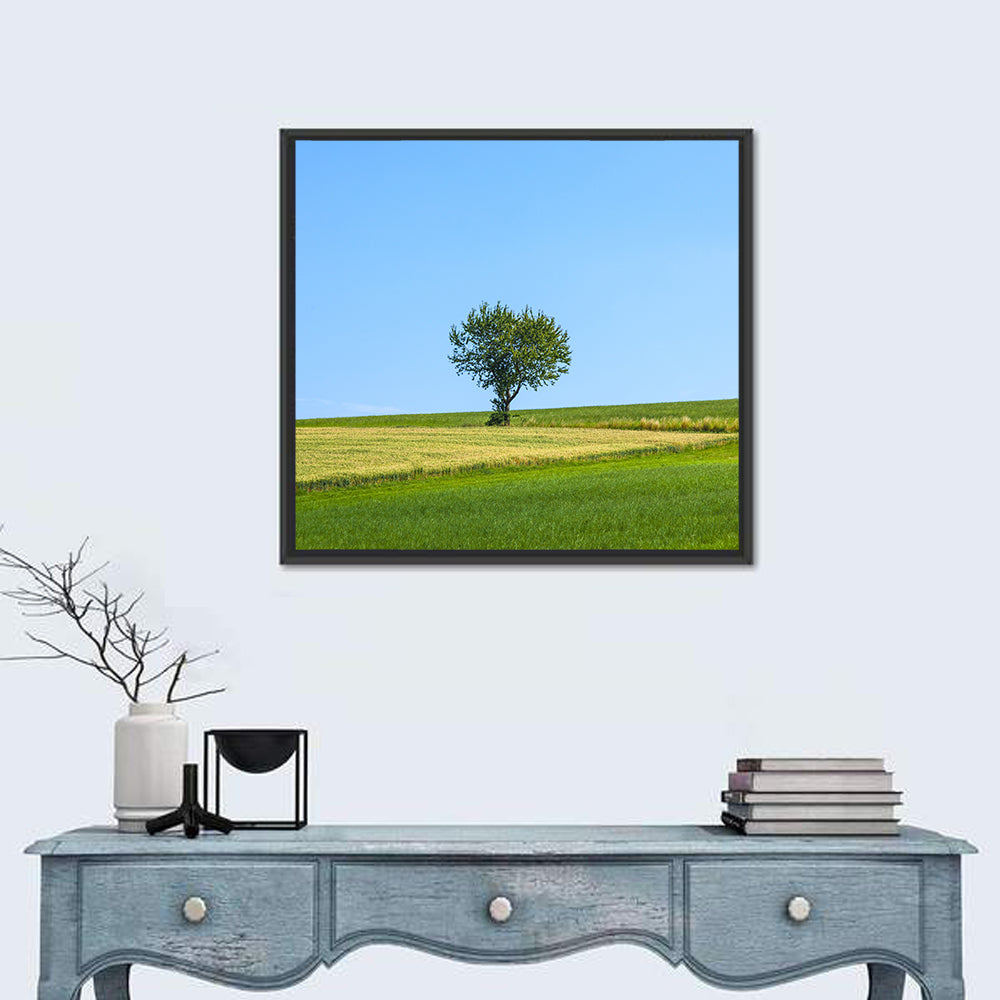 Solitary Tree on Rolling Meadow Wall Art in a room, square