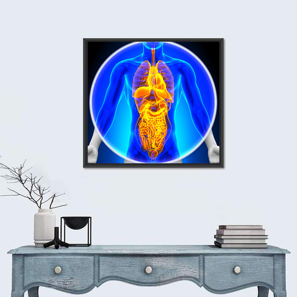 All Organs X-ray Illustration Wall Art