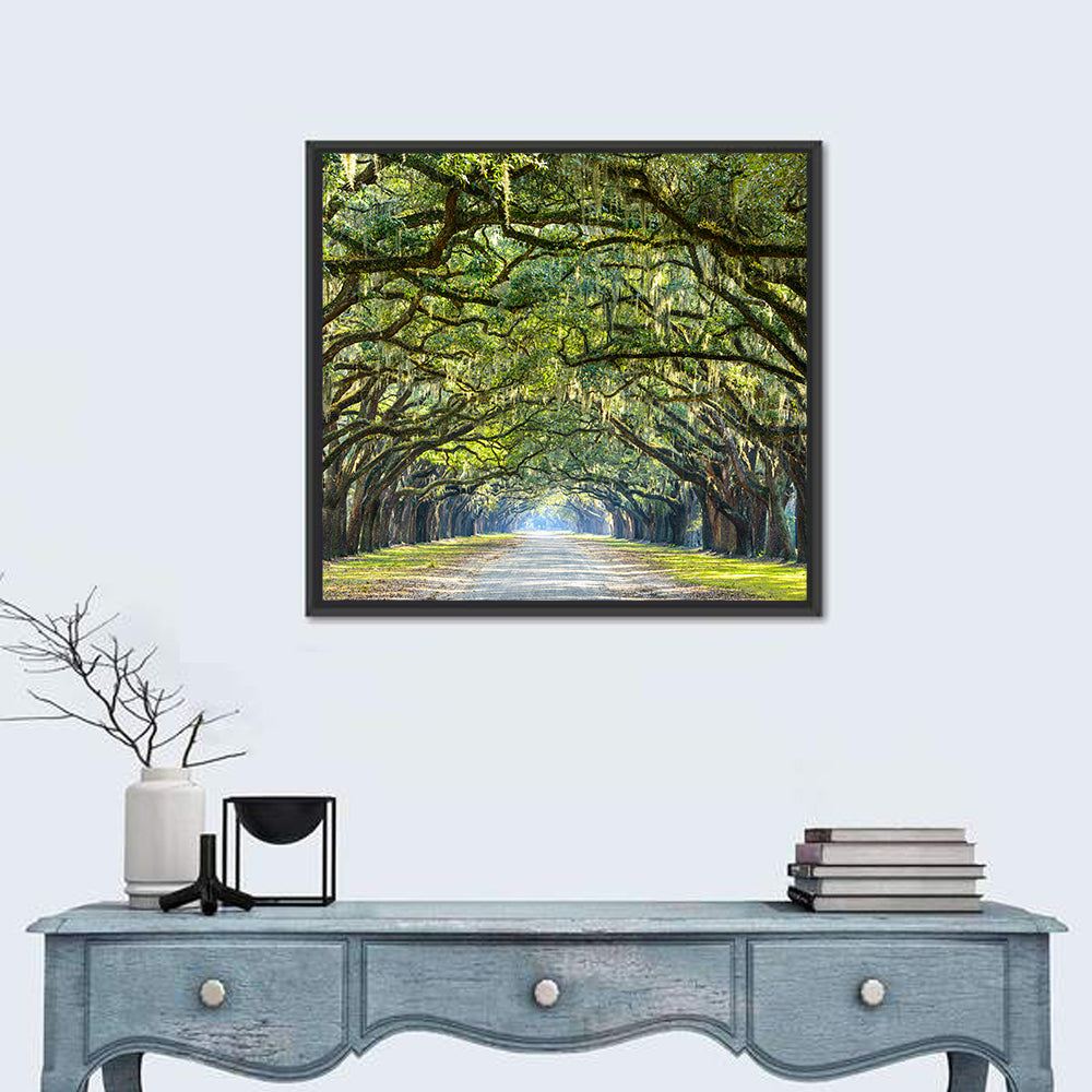 Spanish Moss Oak Alley Wall Art in a room, square