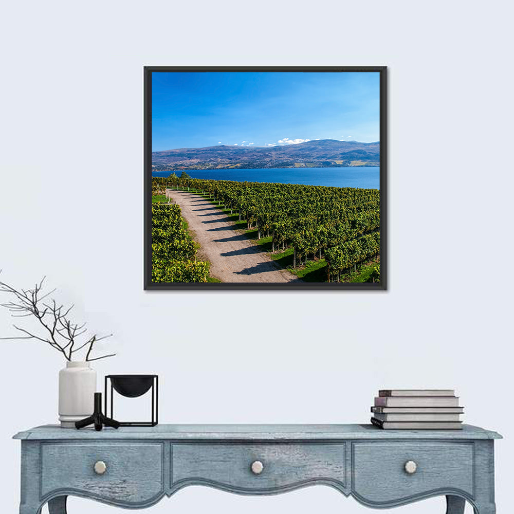 Lake Okanagan Vineyard Path Wall Art in a room, square