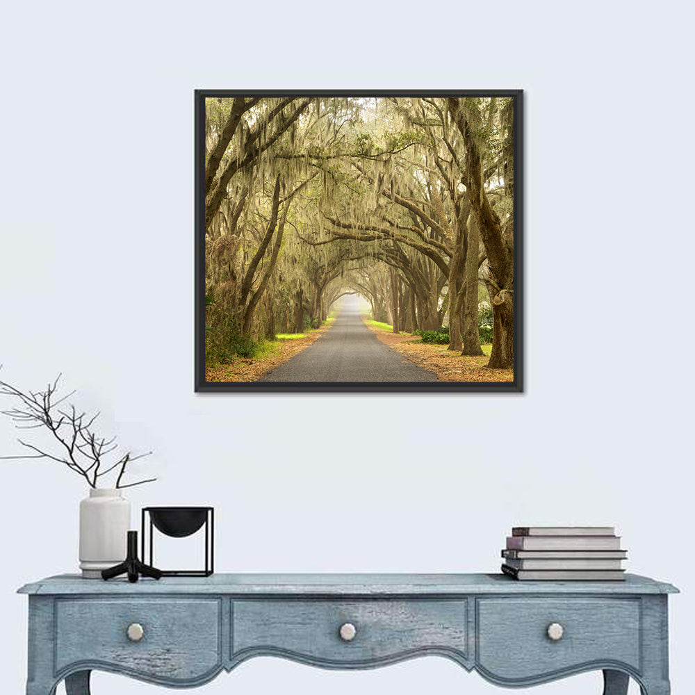 Spanish Moss Country Road Wall Art in a room, square