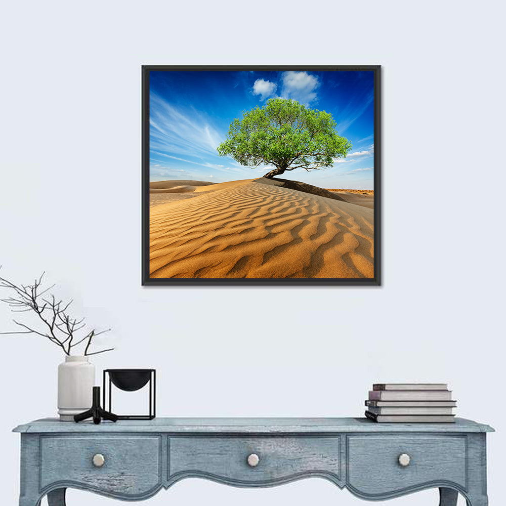Solitary Green Tree on Sand Dune Wall Art in a room, square