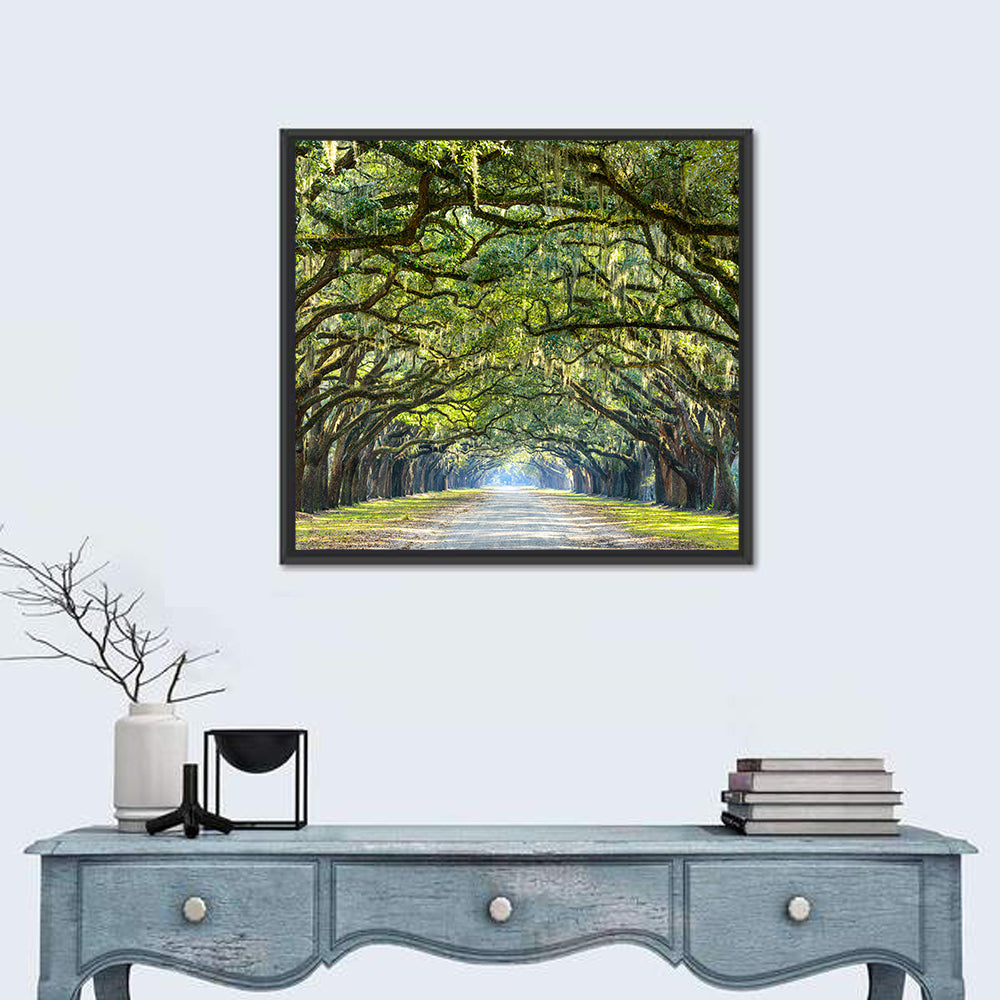 Wormsloe Plantation Oak Tunnel Wall Art