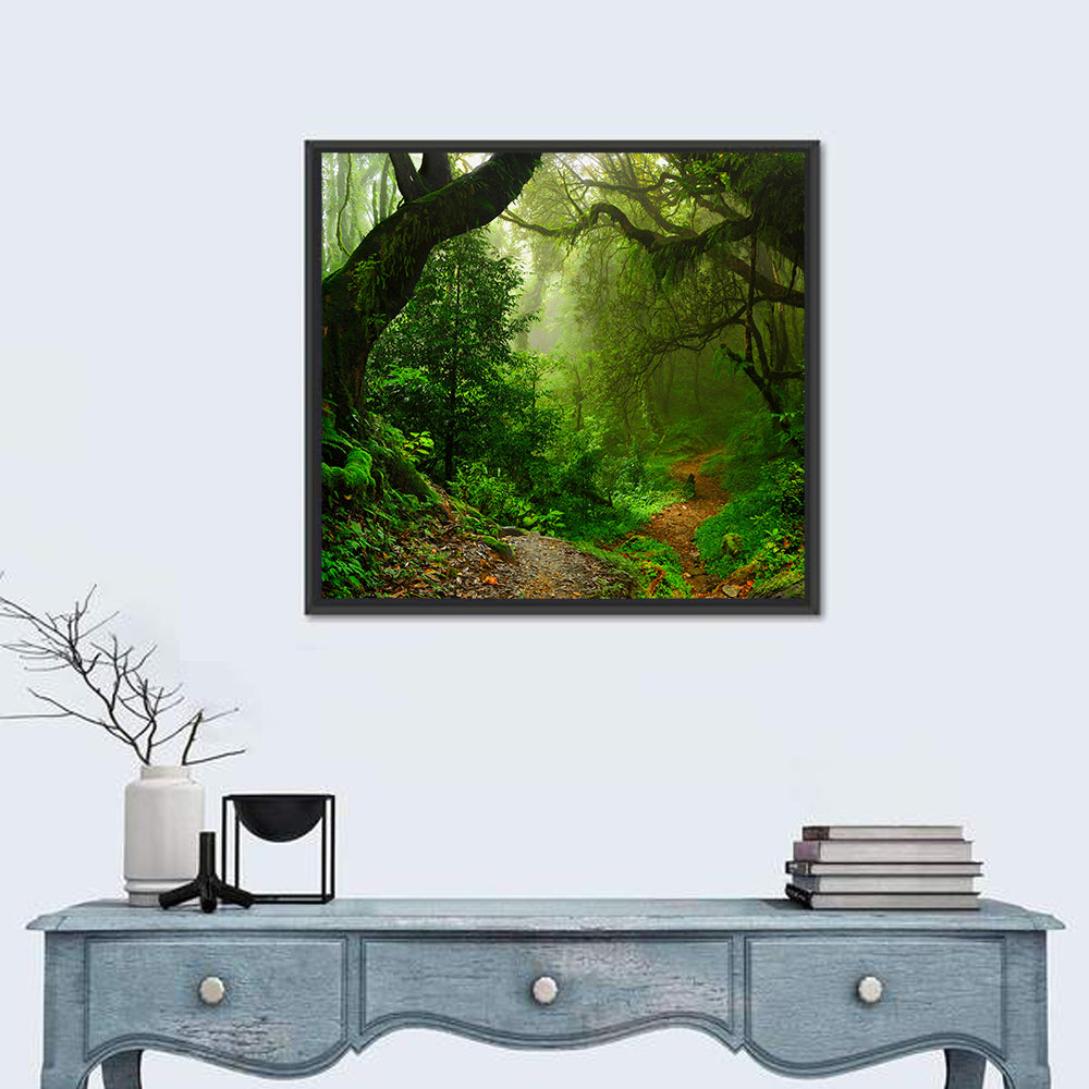 Misty Forest Trail in Nepal Wall Art in a room, square