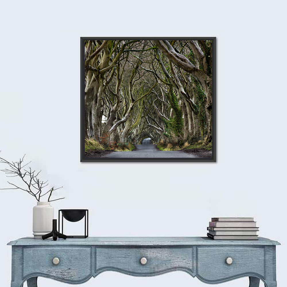 Dark Hedges Tree Tunnel Wall Art in a room, square