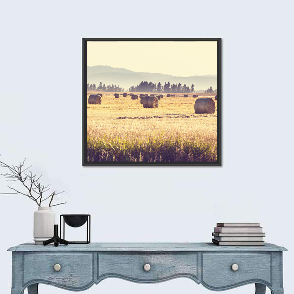 Golden Hay Bales Field Wall Art in a room, square
