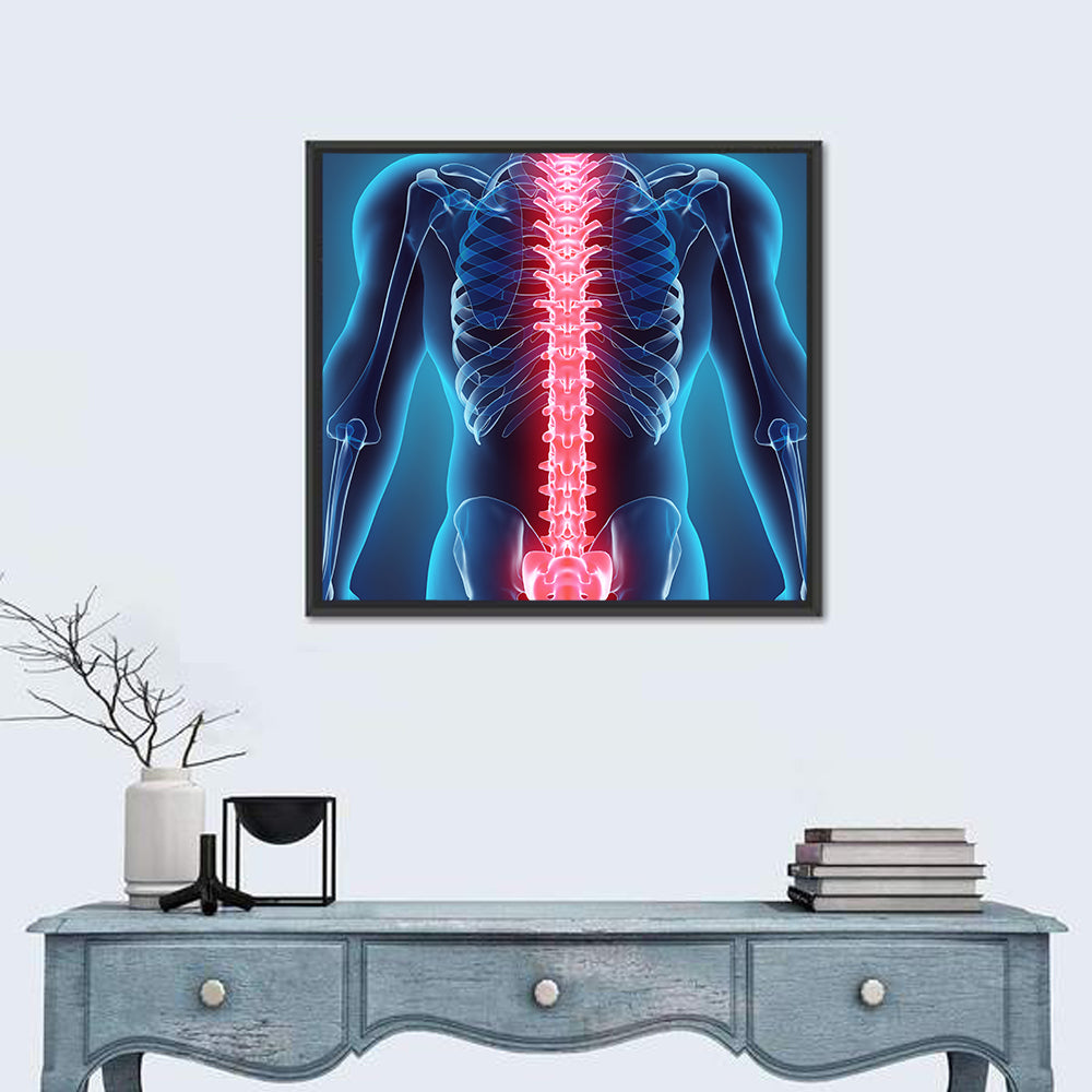 Human Skeleton Spine Wall Art