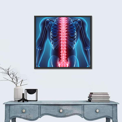 Human Skeleton Spine Wall Art