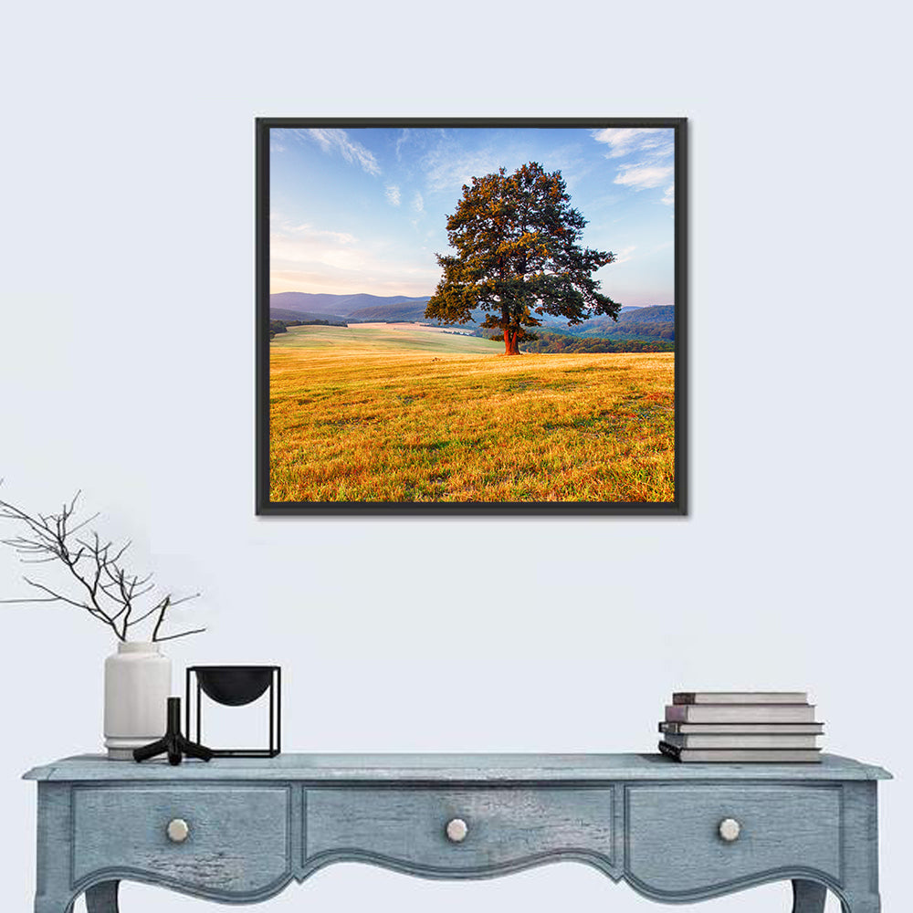 Golden Hour Meadow with Lone Tree Wall Art in a room, square