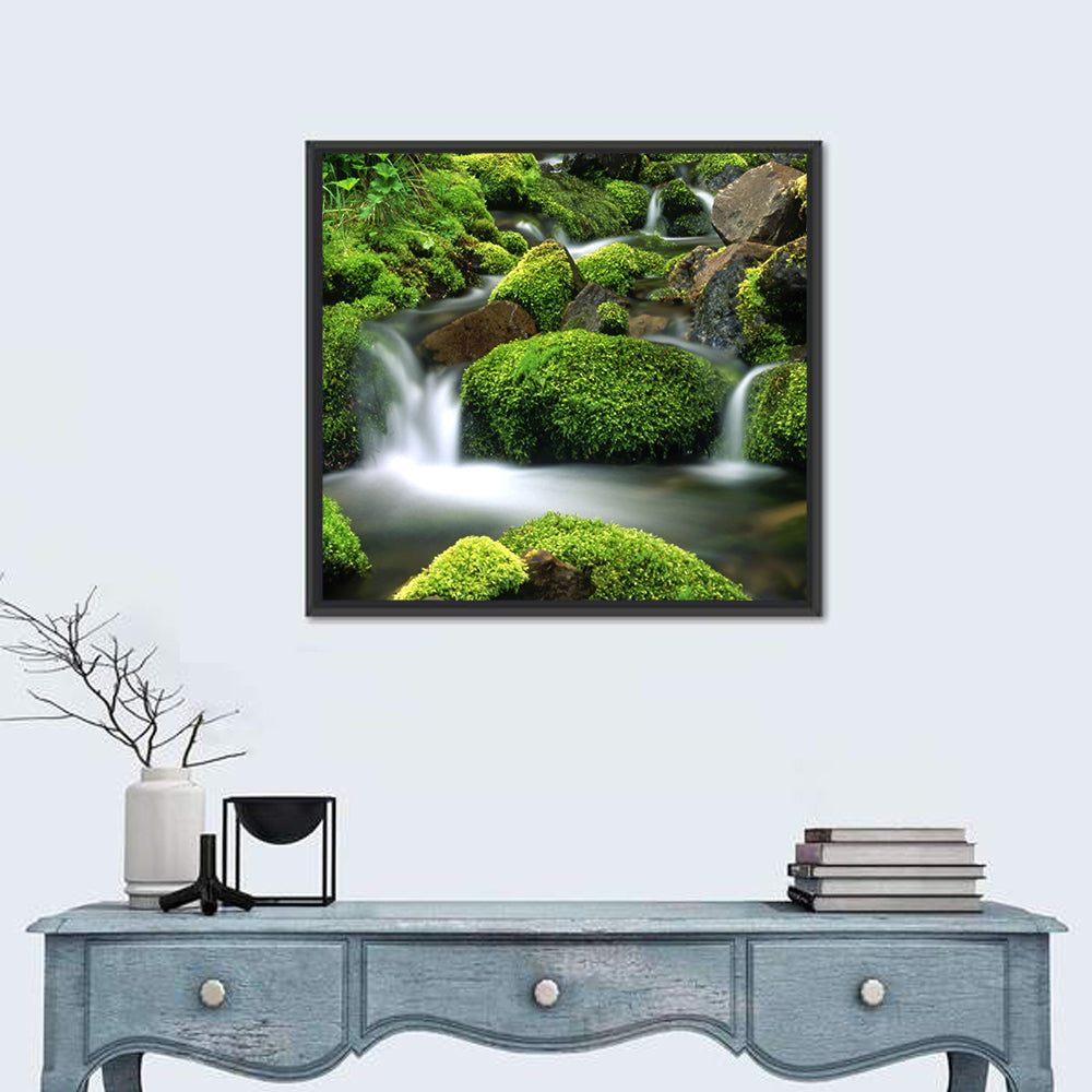 Mossy Mountain Stream Wall Art in a room, square