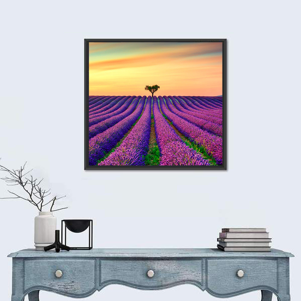 Lavender Field with Solitary Tree Wall Art in a room, square