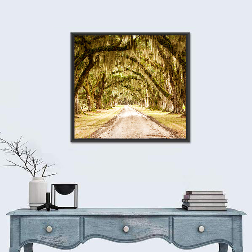 Oak Pathway Under Spanish Moss Wall Art in a room, square