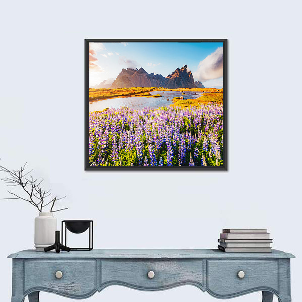 Lupine Fields at Vestrahorn Wall Art in a room, square