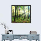 Morning Light in the Forest Wall Art
