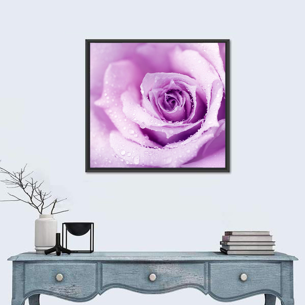 Purple Rose Close-up Wall Art in a room, square