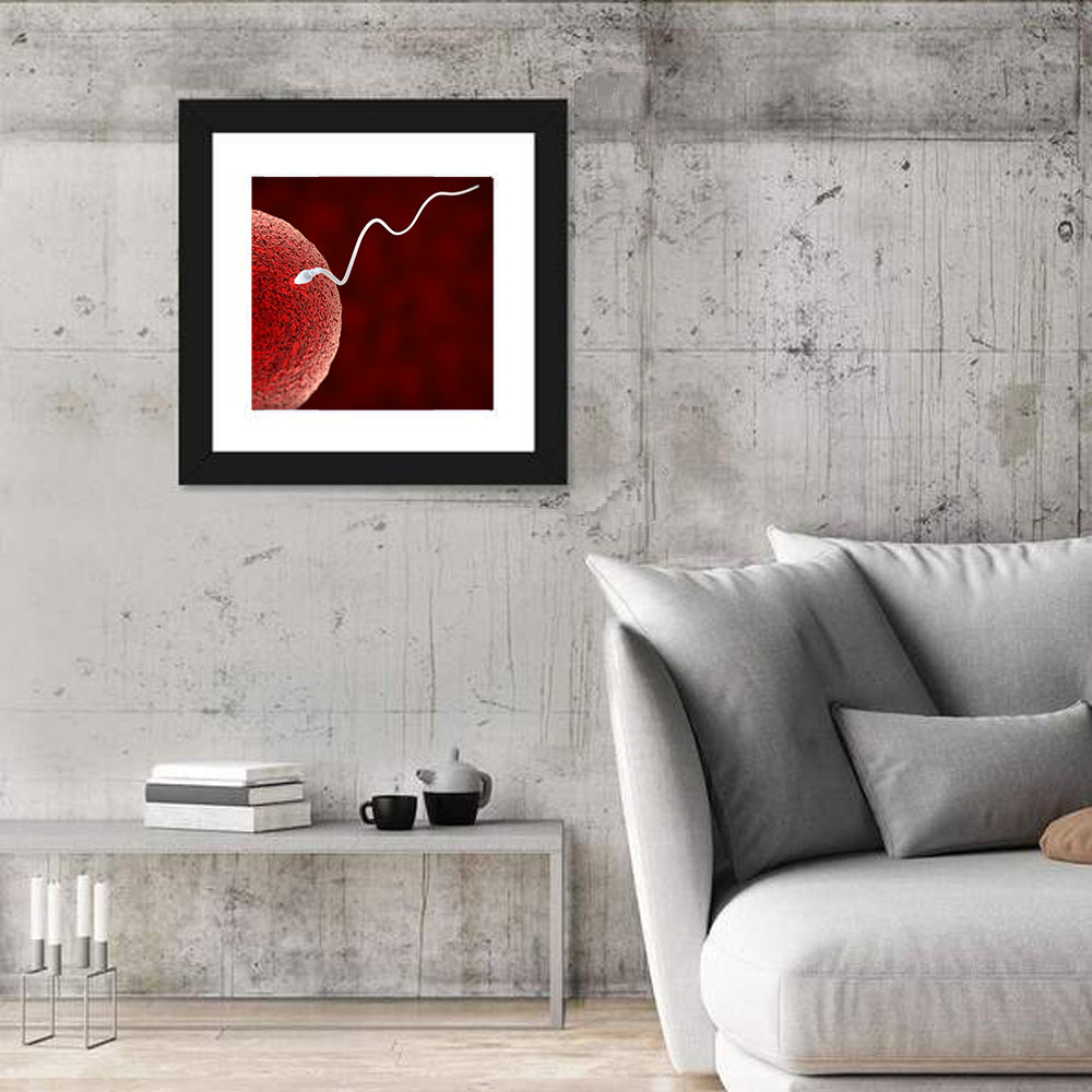 Sperm Approaching Ovum Wall Art