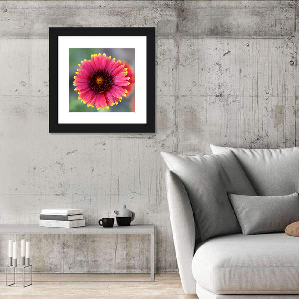 Pink Blossom Close-up Wall Art