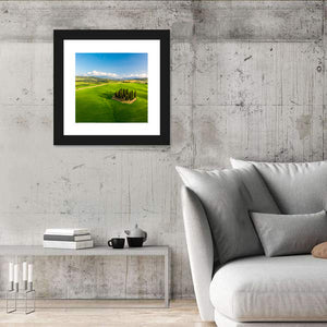 Italian Cypresses Wall Art