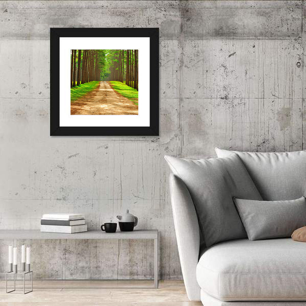 Thailand Pine Forest Path Wall Art in a room, square