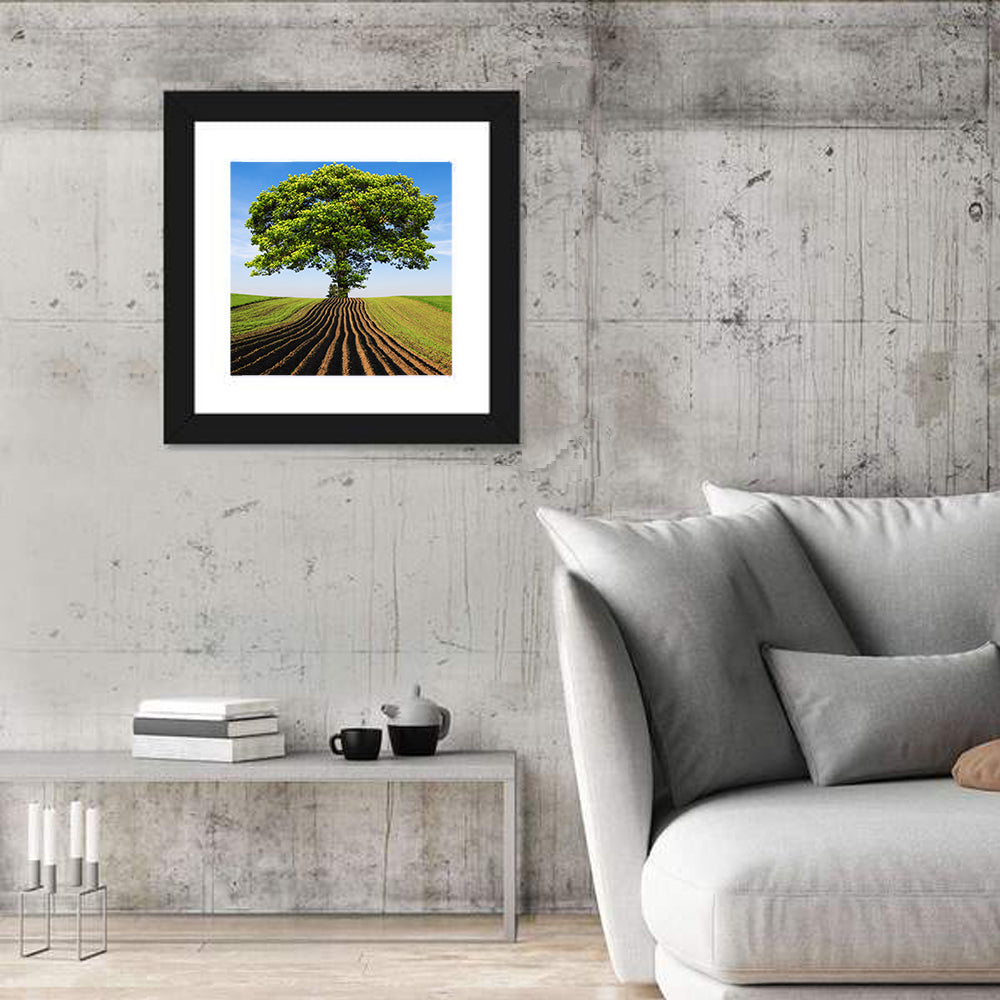 Solitary Tree on Plowed Hill Wall Art in a room, square