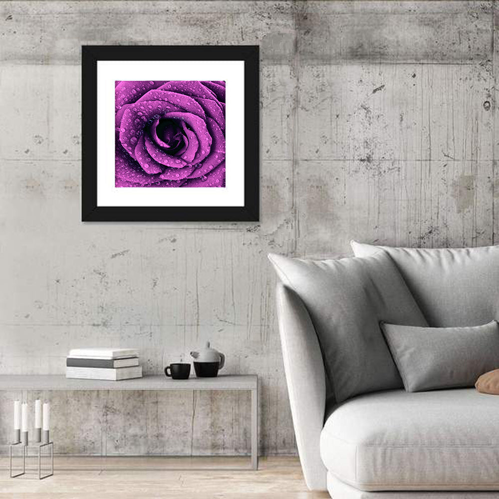 Rain Touched Purple Rose Wall Art in a room, square