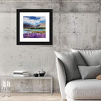 Lupines at Lake Tekapo Wall Art