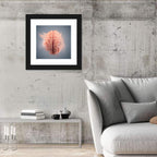 Anatomical Brain with Particles Wall Art