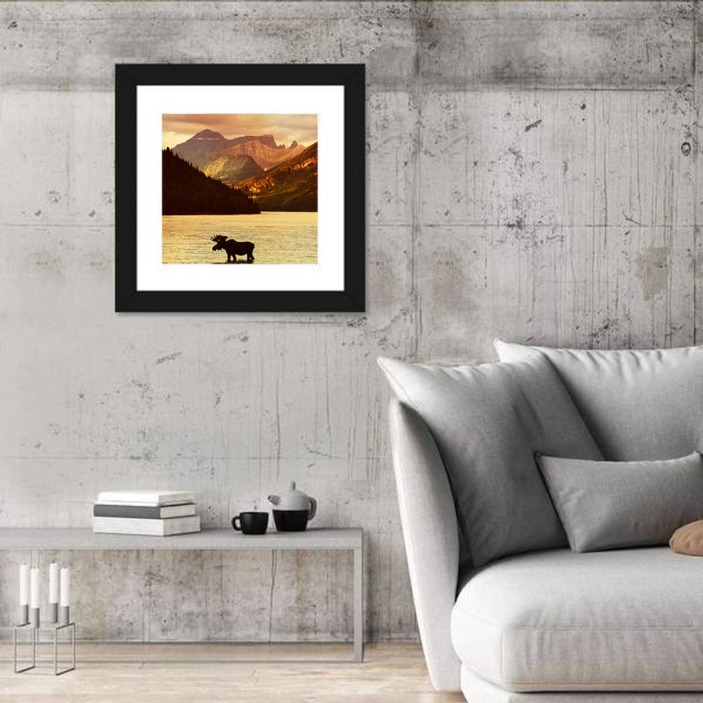 Waterton Lakes Moose at Golden Dusk Wall Art