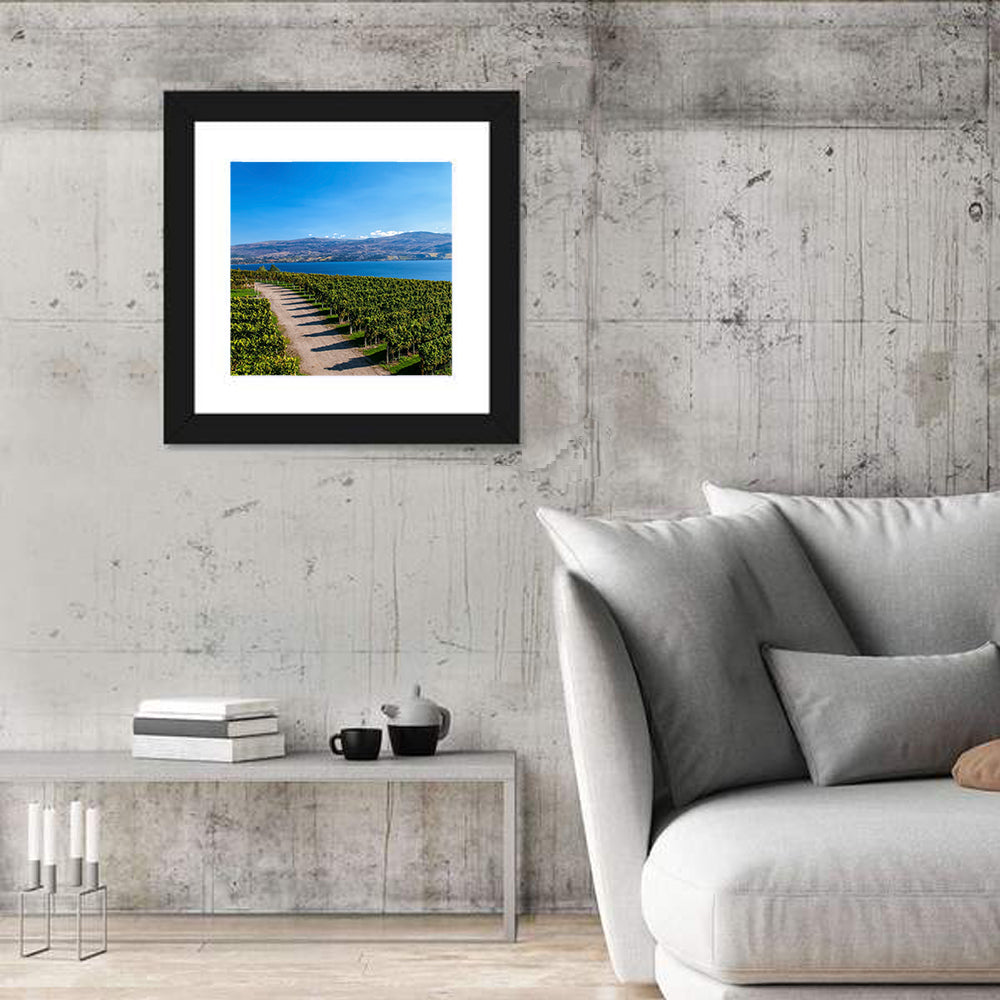 Lake Okanagan Vineyard Path Wall Art