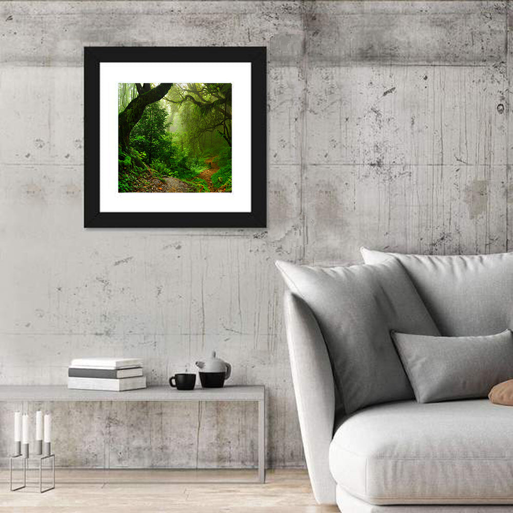 Misty Forest Trail in Nepal Wall Art in a room, square