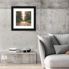 Redwood Highway, Northern California Wall Art