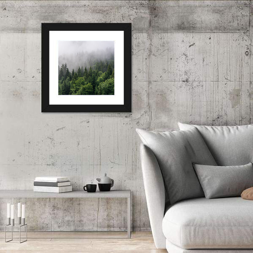 Evergreen Forest Overview Wall Art